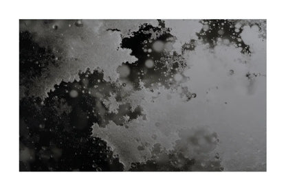Abstract black and white fractal pattern with organic splatter and bubble-like circular details on a white background.