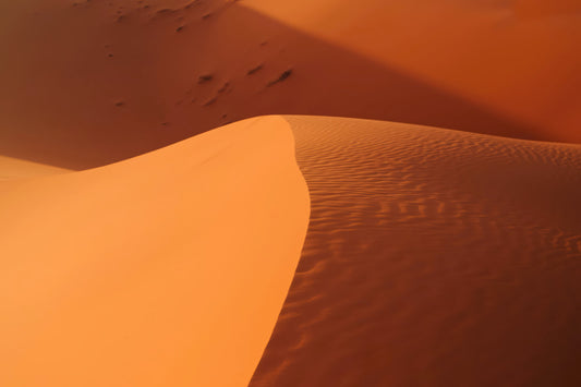 A close-up view of orange sand dunes with rippled texture and soft shadows.