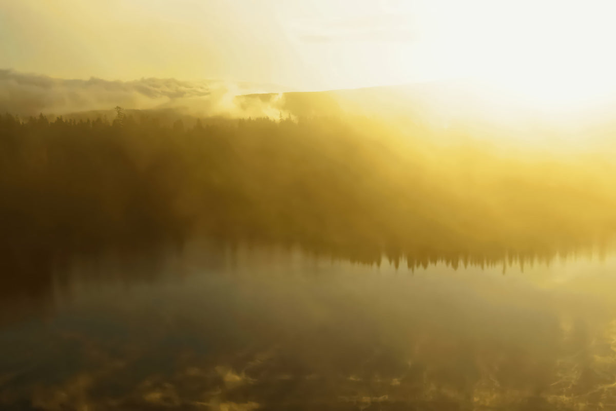 Golden sunrise over a misty lake with a dark forest shoreline and soft light rays breaking through the haze.