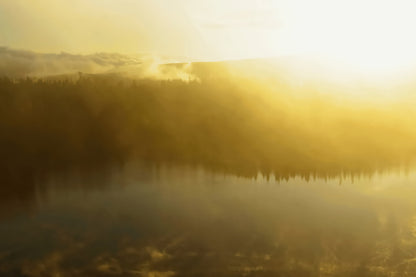 Golden sunrise over a misty lake with a dark forest shoreline and soft light rays breaking through the haze.