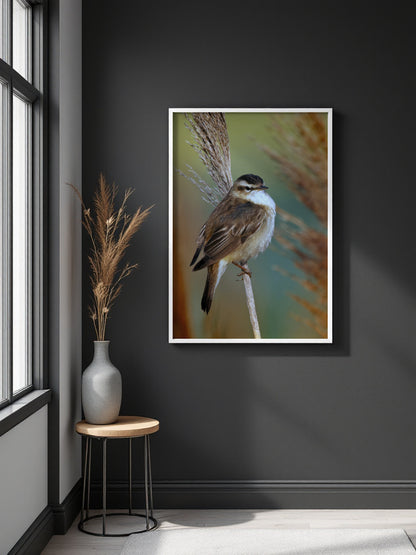 A framed vertical art print of a small bird perched on a reed, displayed on a dark charcoal wall in a styled room setting with a window, side table, and vase.