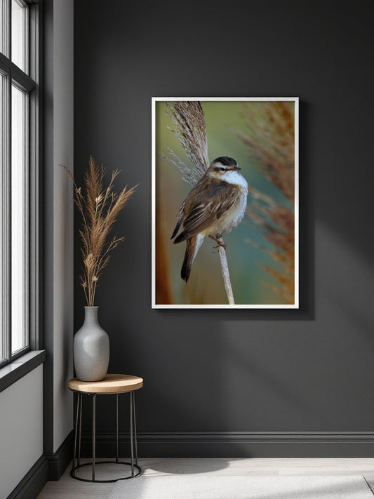 A framed vertical art print of a small bird perched on a reed, displayed on a dark charcoal wall in a styled room setting with a window, side table, and vase.