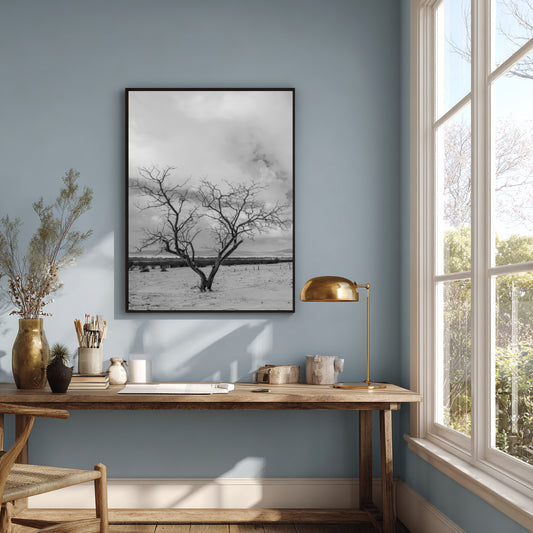 A black and white framed wall art print depicting a bare tree in a snowy landscape, hung on a light blue wall above a wooden desk in a styled room with a window, lamp, and dried flowers.