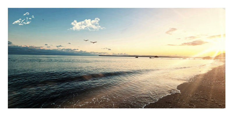 A scenic beach landscape at sunset with gentle waves, a sandy shoreline, a few birds in the sky, and the sun low on the horizon.