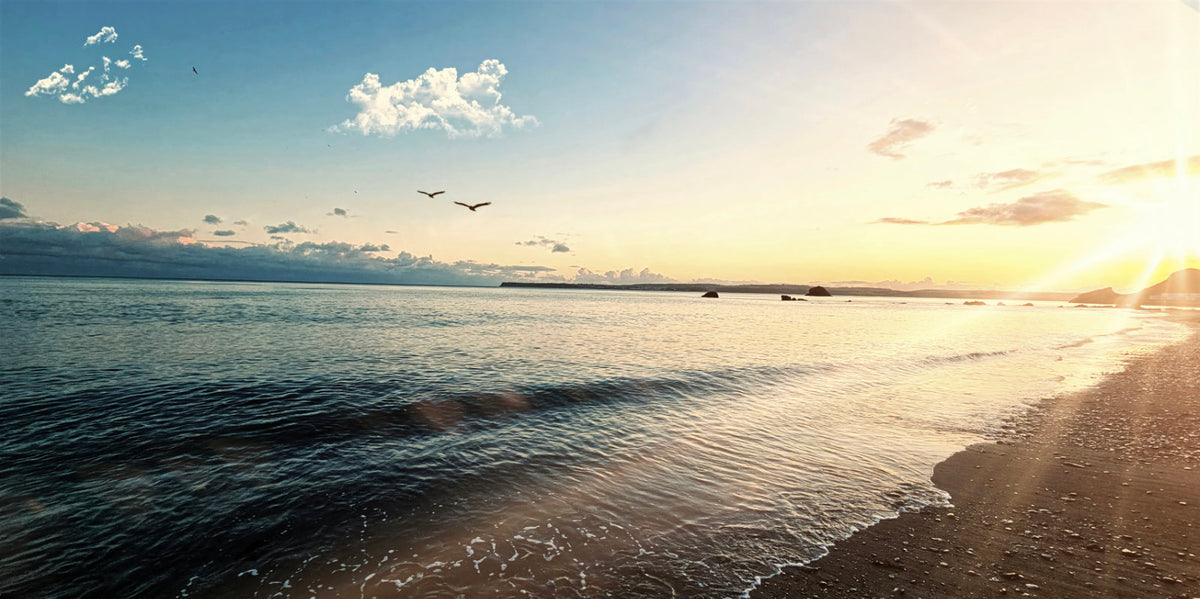 A scenic beach landscape at sunset with gentle waves rolling onto the shore, a bright sun on the right, scattered clouds, and birds flying over the water.